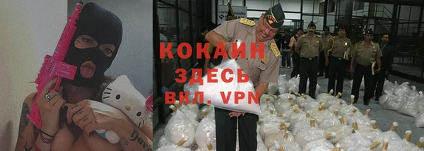 стаф Белокуриха