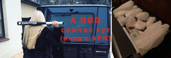дживик Струнино