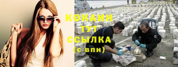 стаф Белокуриха