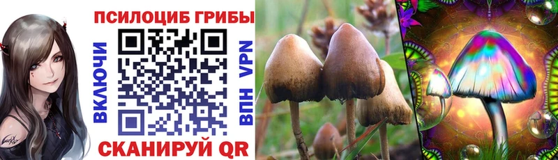 что такое наркотик  Верея  Галлюциногенные грибы прущие грибы 